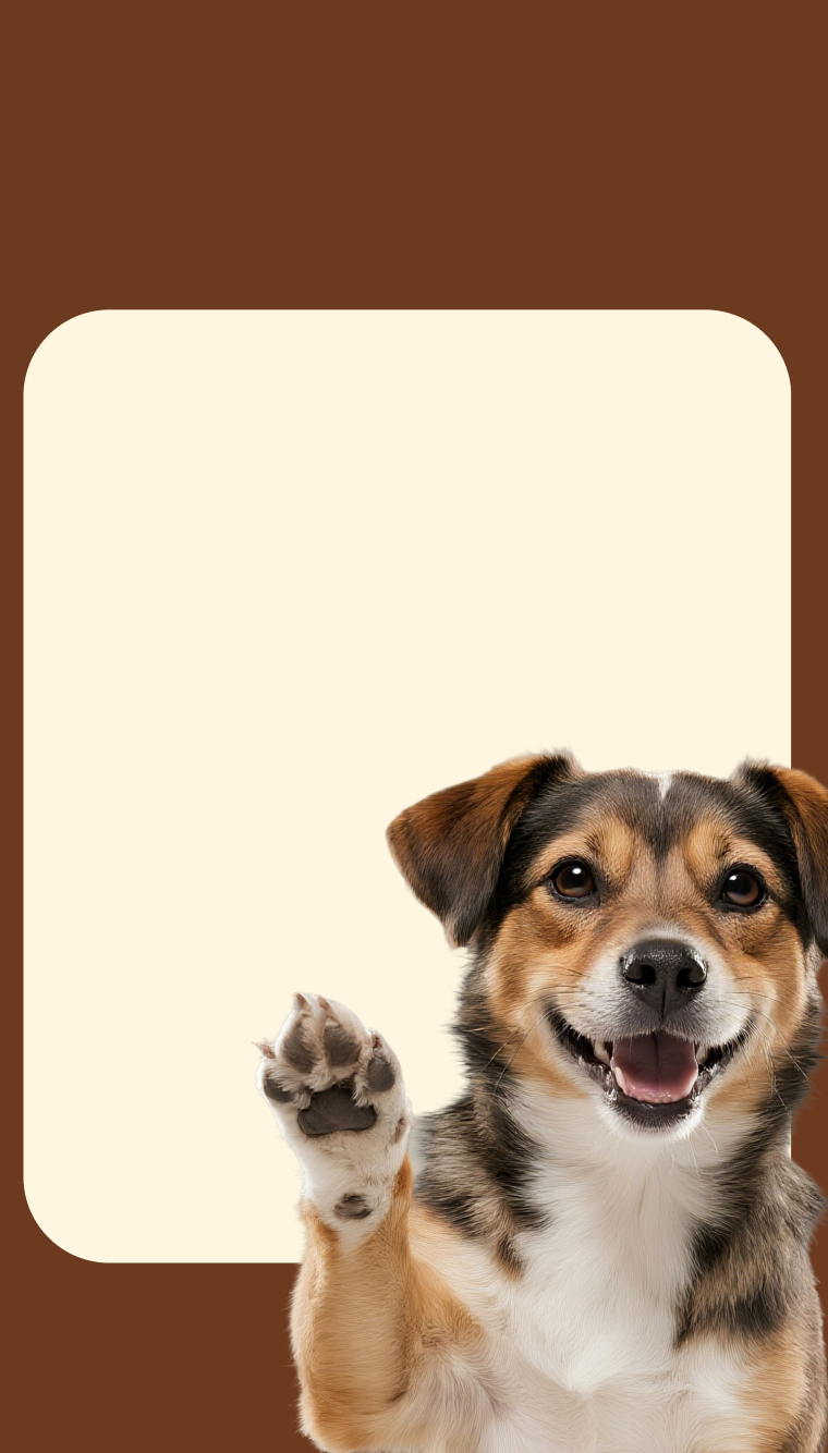 Hero background
